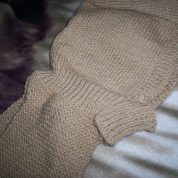 Item image not available